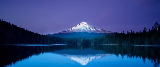 El reflejo de los árboles en el lago con las montañas nevadas y los bosques que se extienden hasta el cielo nocturno 2K fondo de pantalla