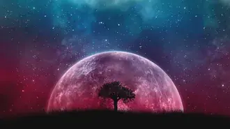 voskhodyashchaya luna i vid na kosmos za derevom. skachat'