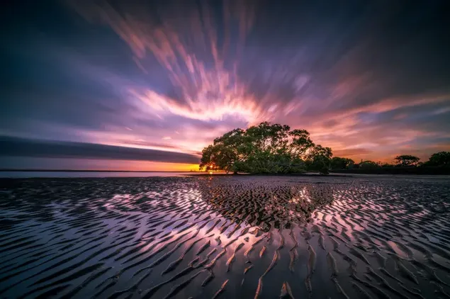 Die Wurzeln des großen Baumes strecken sich riesig im Seewasser aus, wo sich die bunt leuchtenden Wolken spiegeln 8K Hintergrundbild