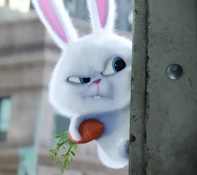 d'geheime liewen vun hausdeieren animeierten film leif waiss bunny snowball halt eng muert sicht zweifelhaftem eroflueden