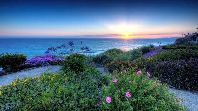 Matahari terbenam 4K kertas dinding