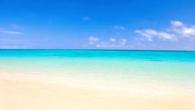 緑と青の色調で海から来る波と夏の暑さの中でビーチの景色 4K 壁紙