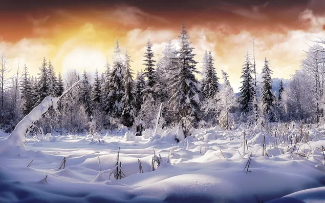 Der Winter-Sonnenuntergang HD Hintergrundbild