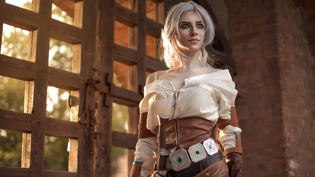 The Witcher 3: Wild Hunt, anime-meisjespersonage uit de videogameserie Ciri The Witcher download