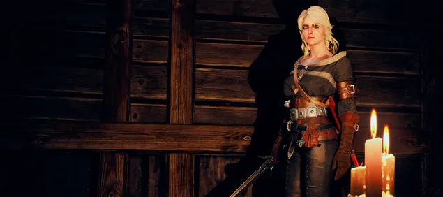 The Witcher 3 - Wilde jacht (Cirilla Fiona)