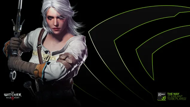 The Witcher 3 - Wilde jacht (Cirilla)