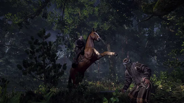 The Witcher 3 - Wild Hunt (fighting in forest) 2K wallpaper