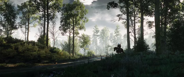 The Witcher 3: Wild Hunt (Waldpfad) 2K Hintergrundbild