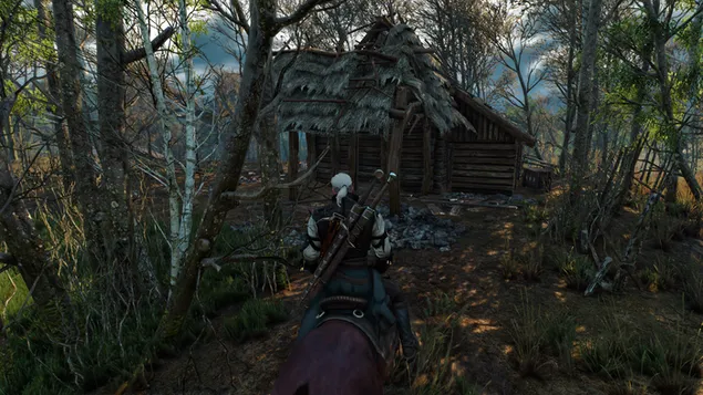 The Witcher 3: Wilde Jagd herunterladen