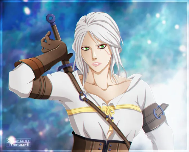 The Witcher - Zirael download