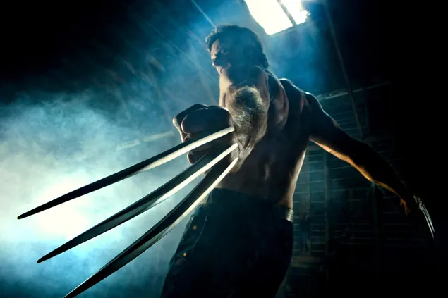 an wolverine ioslodail