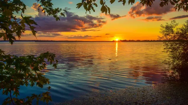 Los rayos amarillos del sol saliendo entre las nubes en el horizonte del lago se ven maravillosos entre las hojas de los árboles descargar