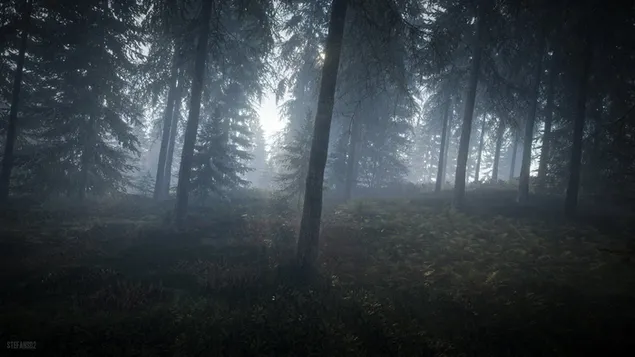 ハンター：野生の呼び声-霧の森