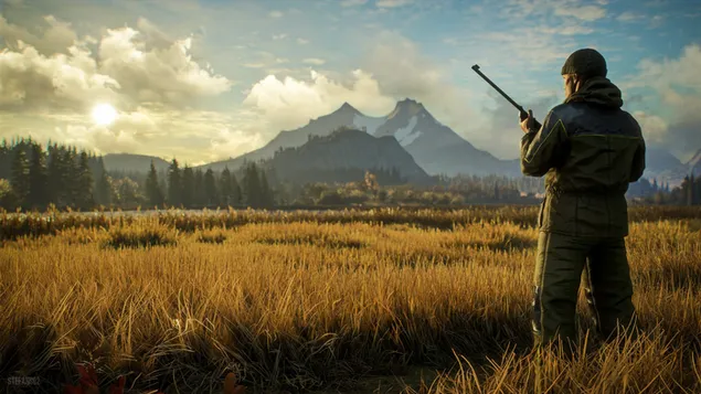 Thehunter: call of the wild - a capa HD papel de parede