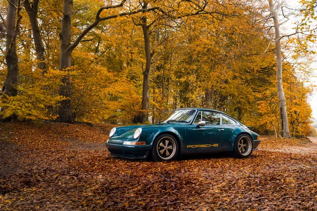 Дизайн Theon: Porsche в лісі завантажити