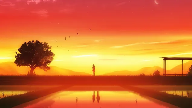 יש מישהו עם הצל של הילדה הבודדה 4K טפט