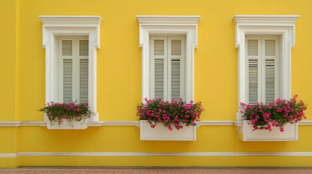 tri okna s bielymi okenicami a ruzovymi kvetmi na zltej stene stiahnut
