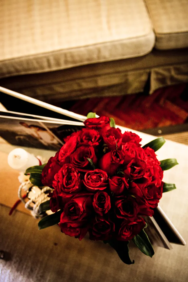 Баците бокует 2K позадина