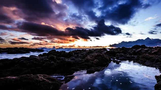 Tide Pool download