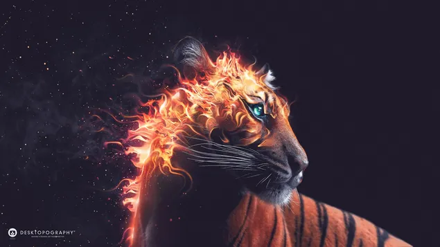 Tiger's Rage Fire