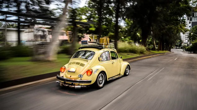 casozberna fotografia beziaceho zlteho kupe volkswagen beetle na ceste stiahnut