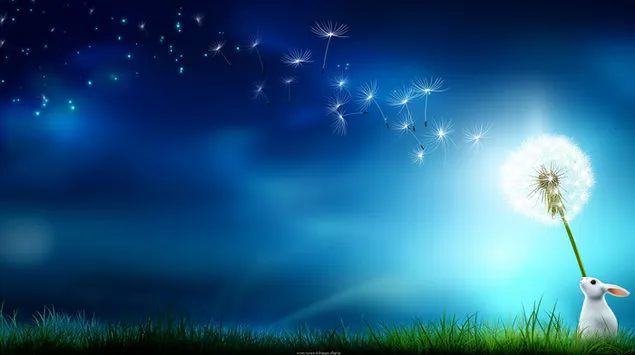 Lille kanin stirrer på mælkebøttefrø, der svæver i himlen 2K baggrundsbillede