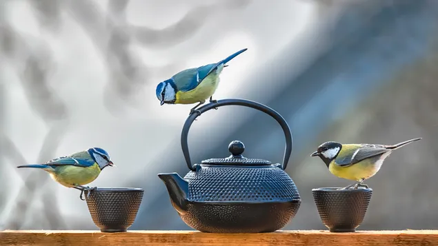 Fiesta del té del carbonero 4K fondo de pantalla