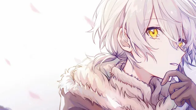 致你的永恆 - 'Fushi' 4K 壁紙