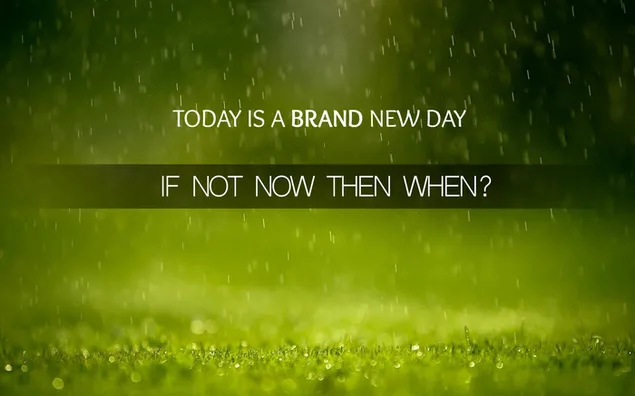 Hoy es un nuevo día, si no, ¿cuándo?