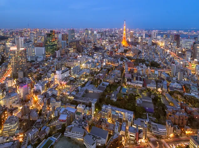 Tokyo at night lights