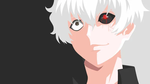 โตเกียวปอบ Re: - Haise Sasaki (เวกเตอร์) HD วอลเปเปอร์