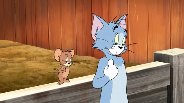 Taustakuva Tom ja jerry hämmentyivät 2K