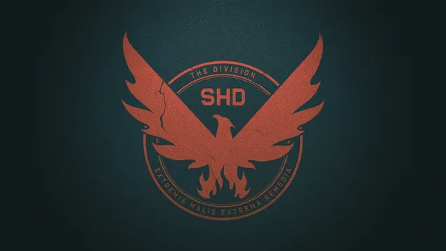 Tom Clansy's the Divisions II کاغذدیواری  4K