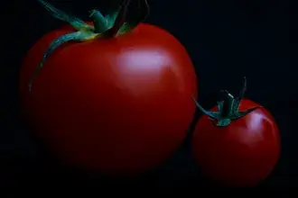tomato daunrodeu