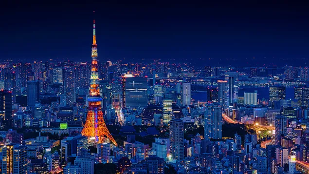 Torre de Tokio iluminada por la noche