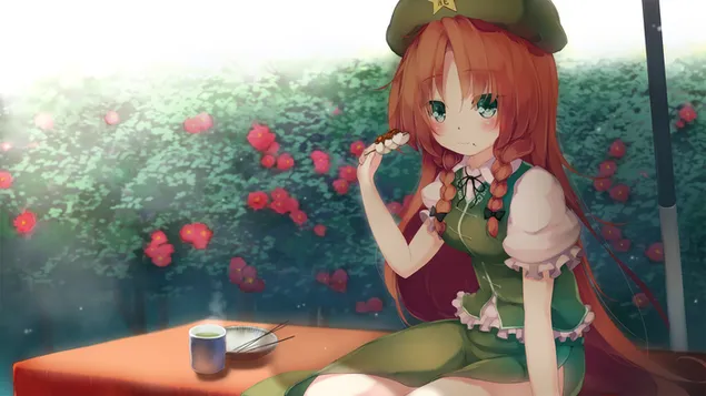 Projek Touhou - Hong Meiling HD kertas dinding
