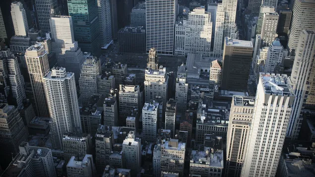 街道的塔 HD 壁紙