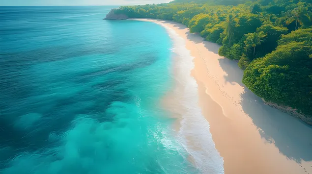 בריחה של גאות ושפל 2K טפט