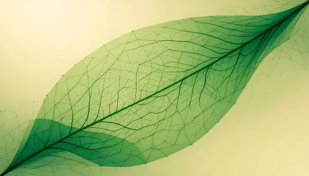 Urat Daun Hijau Lutsinar - Seni Halus Alam Semulajadi 4K kertas dinding