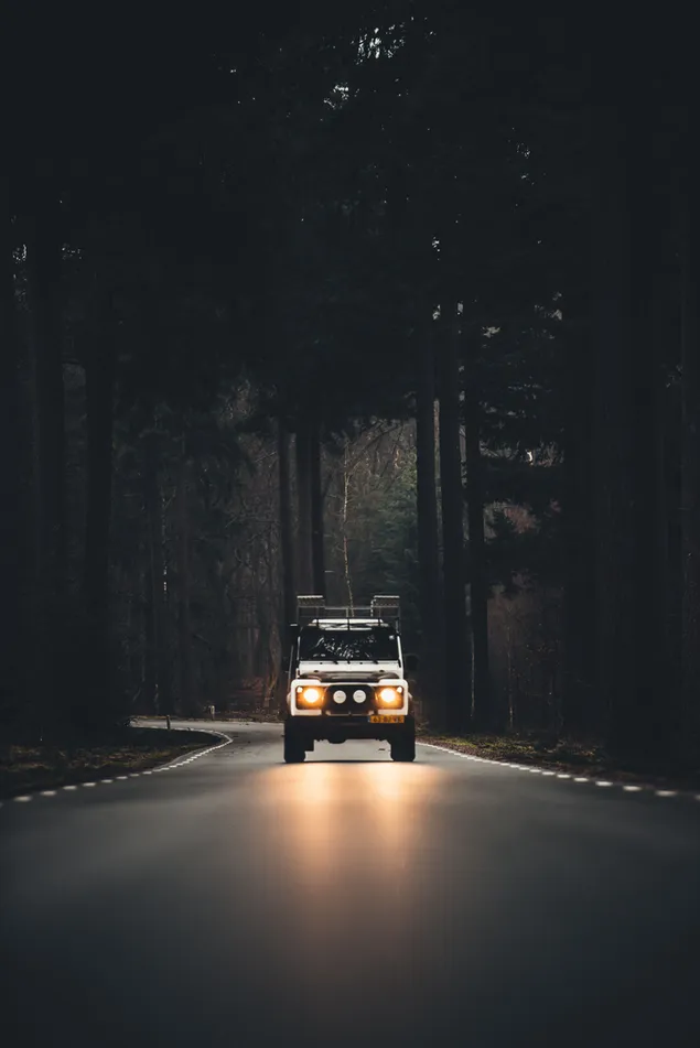 Şafakta ormanlarda yolda ışıklar ile arazi aracı seyahat 4K duvar kağıdı