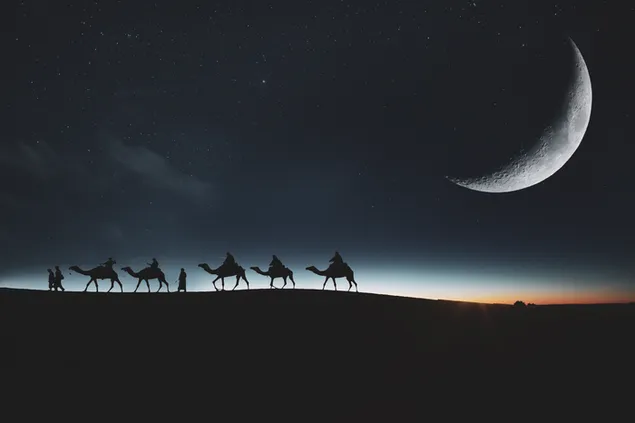 Viajando en camellos en el desierto por la noche descargar