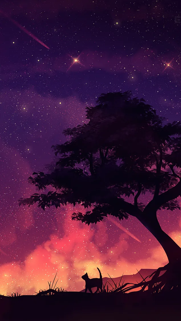 Baum und Katze in der Sternenluft 2K Hintergrundbild