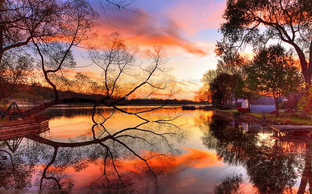 Baum und Wolken spiegeln sich bei Sonnenuntergang im See wider 4K Hintergrundbild