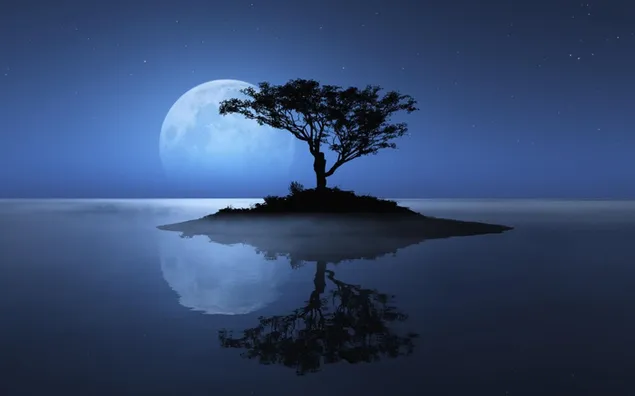 Reflexión del árbol y del lago de la luna llena HD fondo de pantalla
