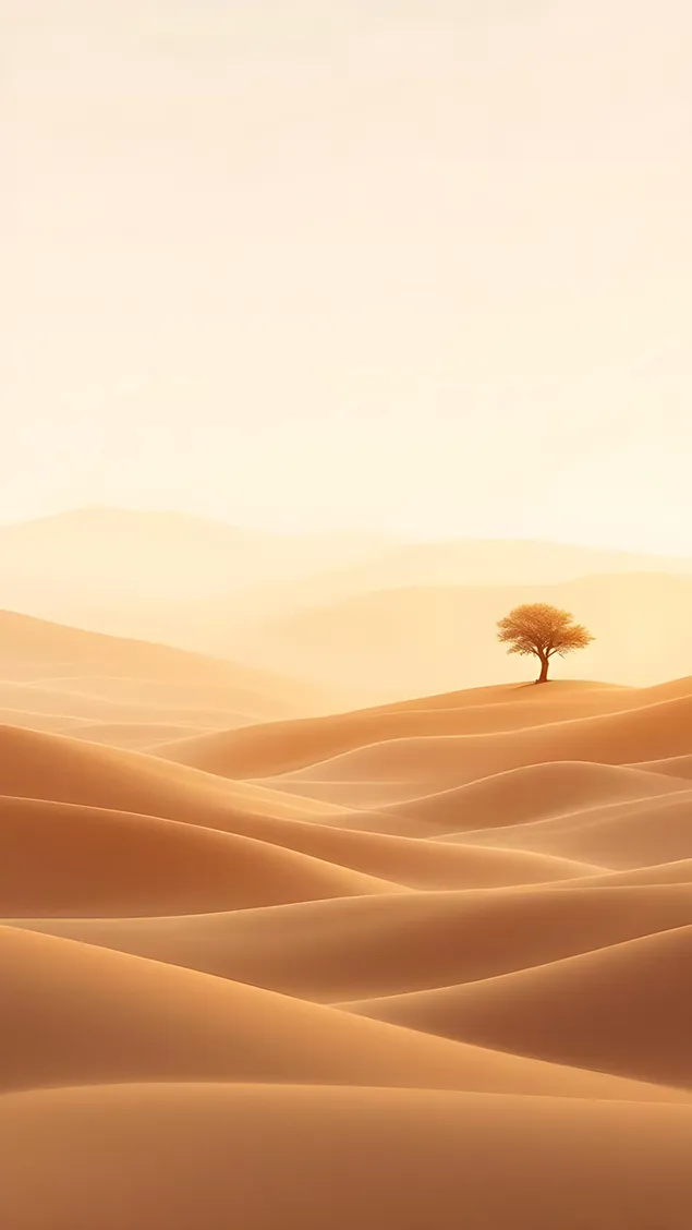 Drvo u prostranom pustinjskom pejzažu 2K pozadina