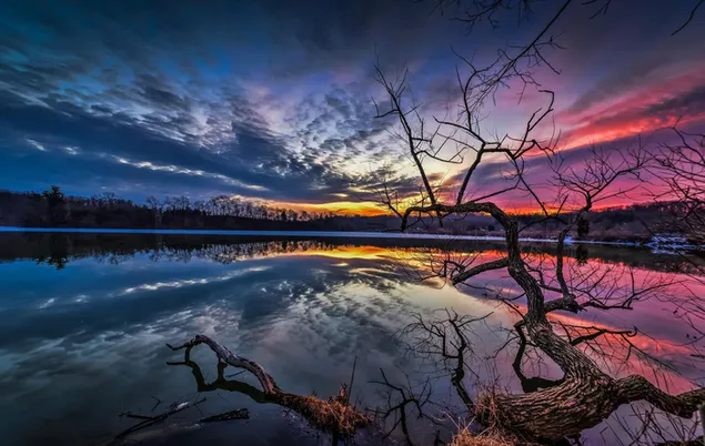 Silhouettes d'arbres avec reflet de la lumière du soleil sur le lac et branche d'arbre séchée dans un ciel nuageux rouge noir 2K fond d'écran