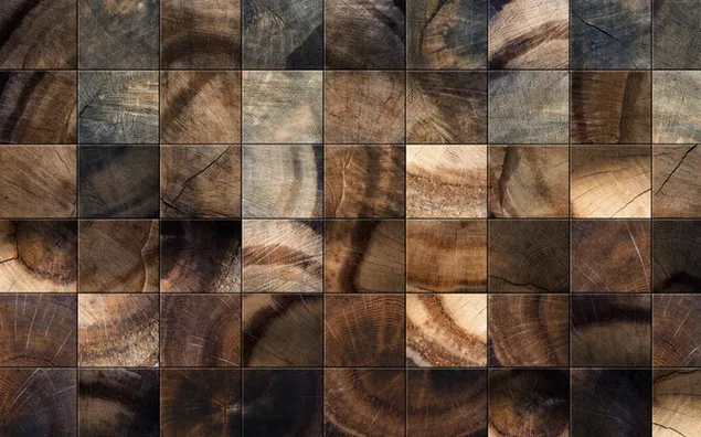 Tree, surface, material, oak, wooden, board background