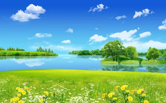 Bäume und Blumenfeld spiegeln sich im See wider 2K Hintergrundbild
