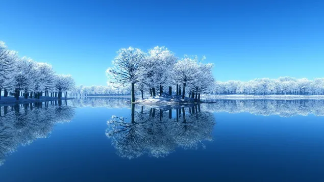 Trees and reflections in the landscape, where the blue sky and the river appear as a whole download