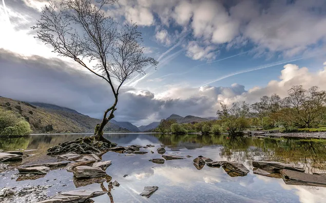 Trees and rocks by the flowing river clouds in the sky download